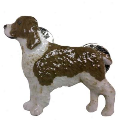 Liver And White English Springsr Spaniel Hand Painted Pin