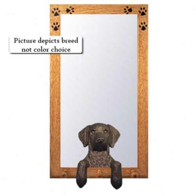 Liver Curly Coated Retriever Hall Mirror With Oak Golden Frame