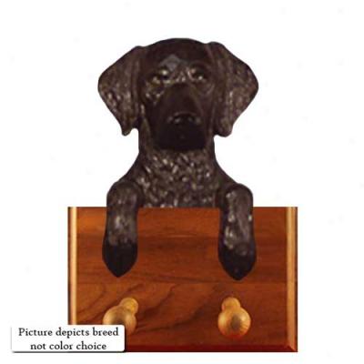 Liver Curly Coated Retriever Leash Holder