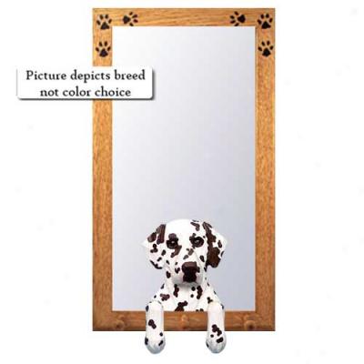 Liver Dalmatian Hall Mirrror With Basswood Walnut Frame