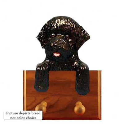 Liver Portuguese Water Dog Leash Holder