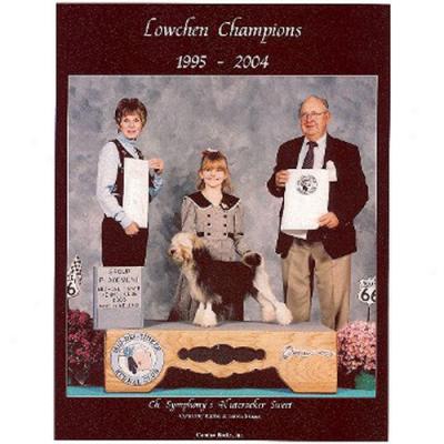 Lowchen Champions, 1995-2004