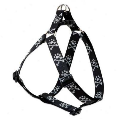 Lupine Bling Bonz Step In Harness 1 Inch X 24-38 Inches