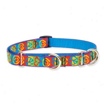 Lupine Peace Pup .75 Inch Wide Combo Collar 14 To 20 Inches