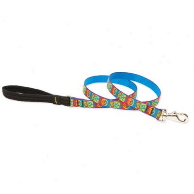 Lupine ePace Pup .75 Inch Wide Lead 6 Feet