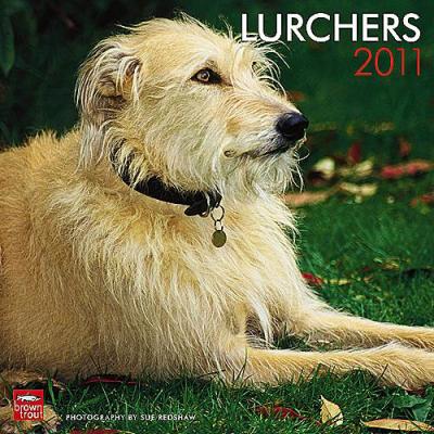 Lurcher 2011 Calendar