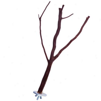 Mac's Creatioons Multi Branch Natural Wood Perch
