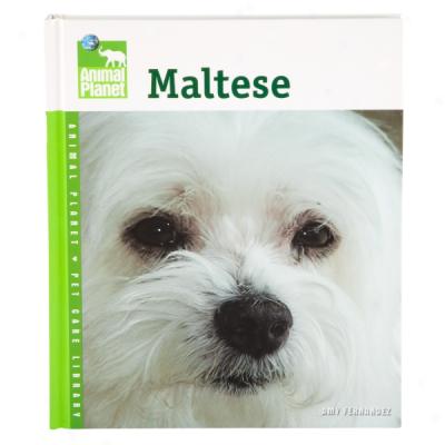 Maltese (qnimal Planet Pet Care Library)