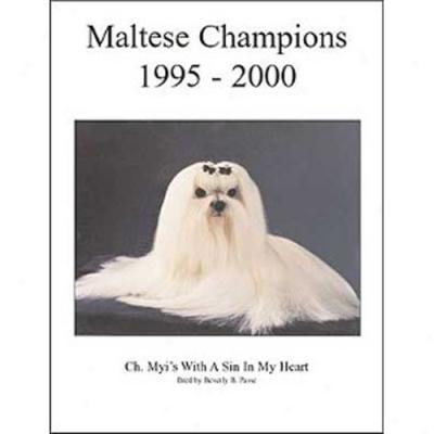 Maltese Champions, 1995-2000