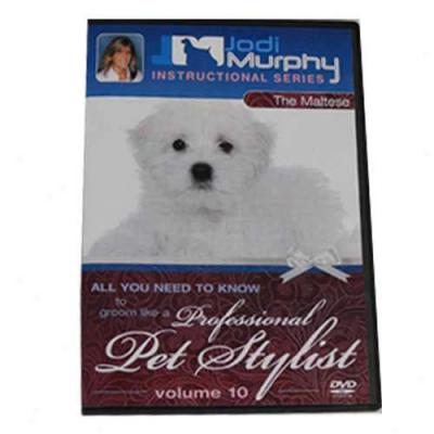 Maltese Grooming Dvd By Jodi Murphy