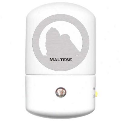 Maltese Led Night Light