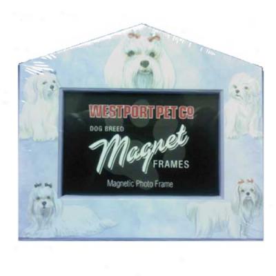 Maltese Magnetix Picture Frame