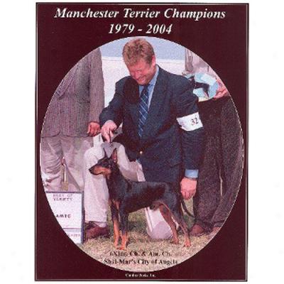 Manchester Terrier Champions, 1979-2004