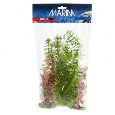 Marina Aquascaper Variety Pack Aquarium Plants