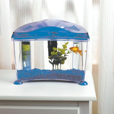 goldfish aquarium starter kit