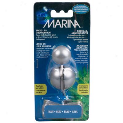 Marina Micro Led Lights, Easy  Set, & Hub