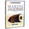 Marine Angelfishes: A Complete Authoritative Guide