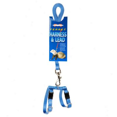 Marshall Ferret Harness And Lead