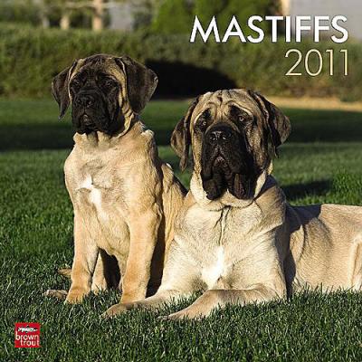 Mastiff 2011 Calendar