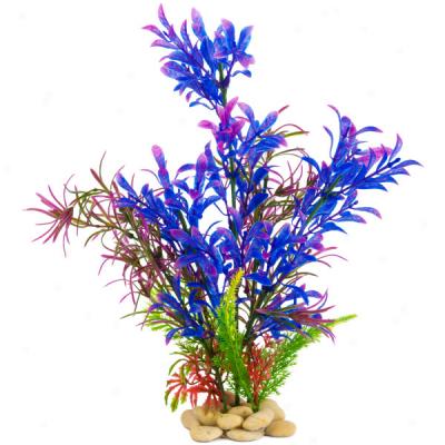 Medium Aquarium Plants With Rock Base