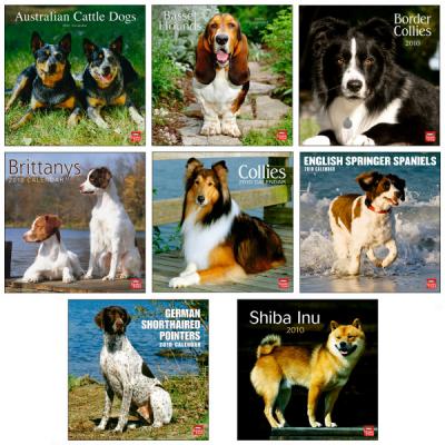 Medium Breed Dogs 2010 Wall Calendars