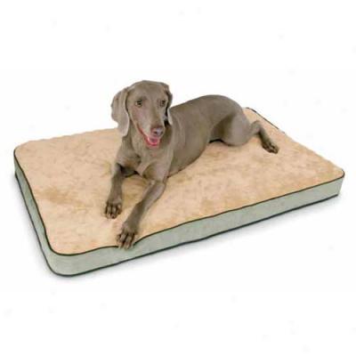 Memory Sleeper Foam Pet Bed Comprehensive Mocha