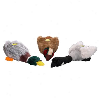 Migrator Plush Wild Bird Dog Toys