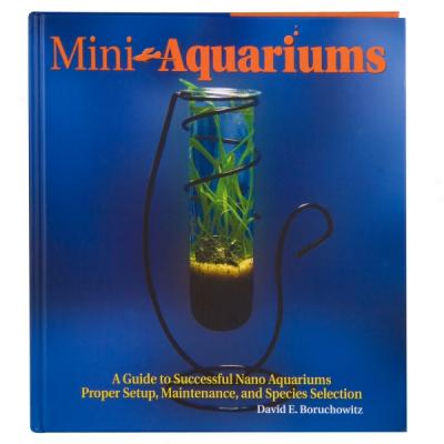 Mini Aquariums: Desktop Aquariums, Mini-ponds & Small Home Aquariums