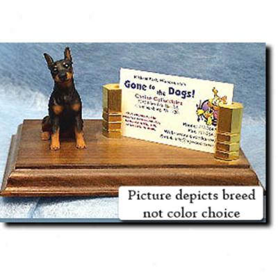 Miniature Pinscher (blue And Tan) Business Card Holder