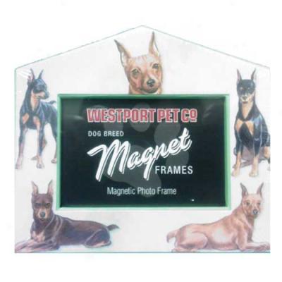 Small portrait Pinscher Magnetic Picture Frame