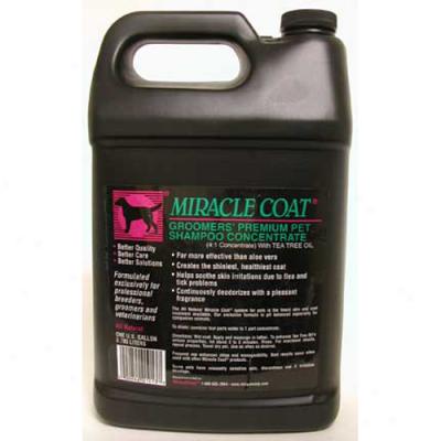 Miracle Coat Premium Shampoo Gallon 4 To 1 Concentrate