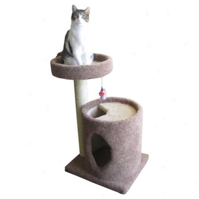 Molly And Friends Two Story Cat Tree