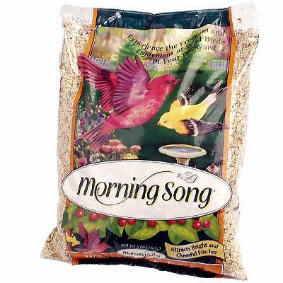 Morning Song Wild Bird Food In spite of Wild Finches