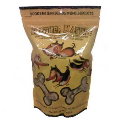 Mother Nature Natural Scooter And Friends Mini Dog Treats 20oz