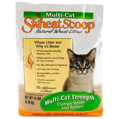 Multi-cat Swheat Scoop Litter