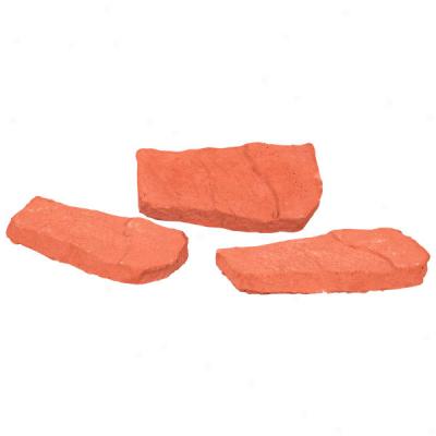 Nature Zone Rep-tiles Stepping Stones