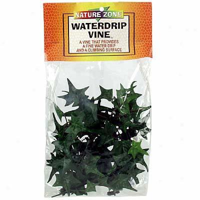 Nature Belt Water Drip Vine