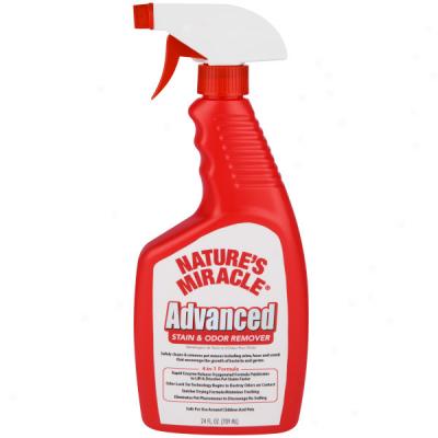 Nature's Miracle Advanced Stain & Odor Remover