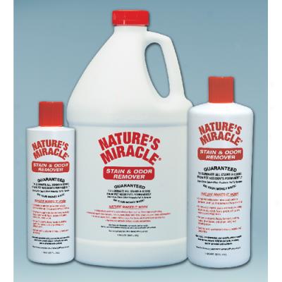 Natures Miracle Stain And Odor Remover Gallon