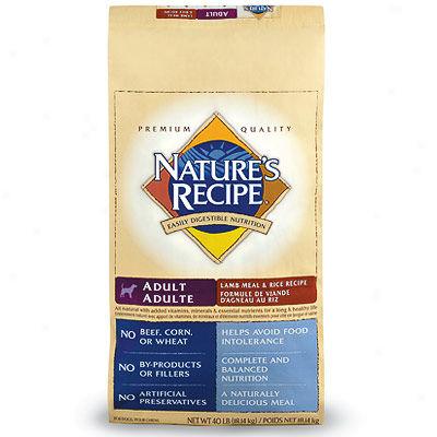 Nature's Recipe Adult Lamb Meal & Rice Canine