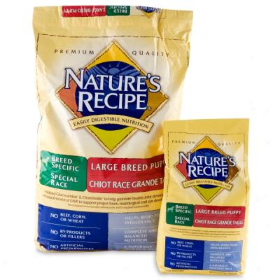 Nature's Recipe Large Breed Puppy Food