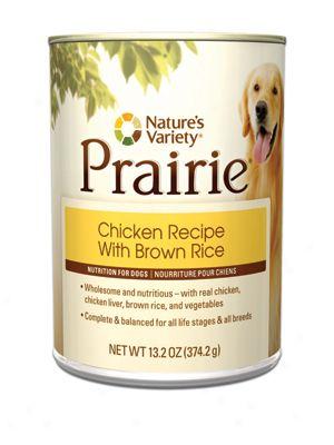 Nature's Variety Prairie Can Dkg Lamb 13.2 Oz Case 12