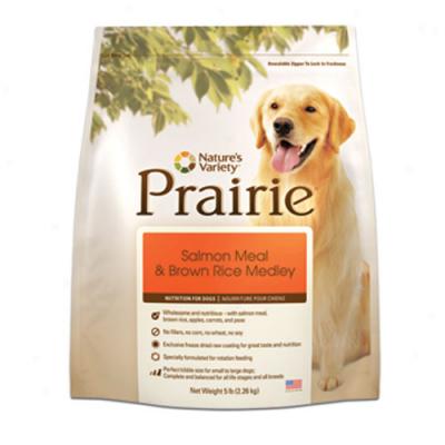 Nature's Multiplicity Prairie Salmon Meal With Brown Rice Dog Food l5b