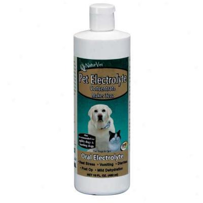 Naturvet Pet Electrolytes 16oz