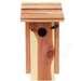 Nesting Box Bird House