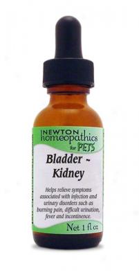 Newton Homeopathics Bladder Kidney