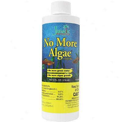 No More Algae From Jungle