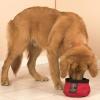 No-spill Port-a-bowl By Outward Hound Water Bowl