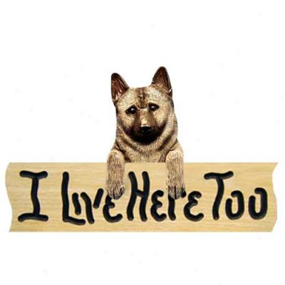 Norwegian Elkhound I Live Here Too Oak Accomplish Sign