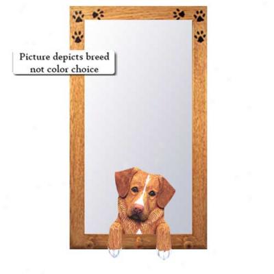 Nova Scotia Duck Tolling Retriever Mirror